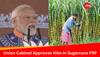 Modi Government Approves Hike In Sugarcane Procurement Prices Amid Farmers' Protest