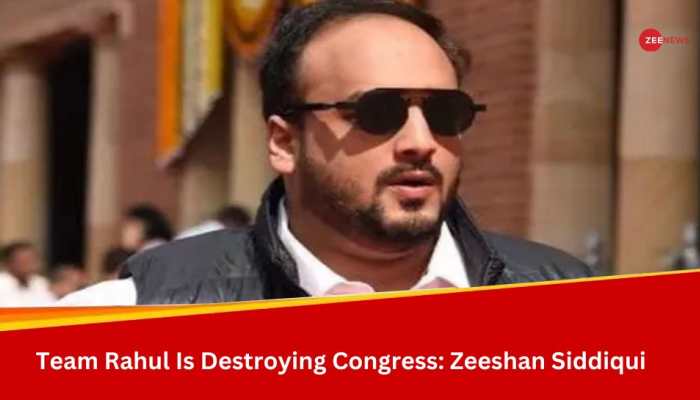 &#039;Was Told To Lose 10Kg Weight...&#039;: Zeeshan Siddiqui Alleges Rahul Gandhi&#039;s Team Is Destroying Congress 