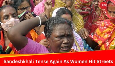 Sandeshkhali Tense Again As Women Hit Streets Seeking TMC Leader Sheikh Shahjahan's Arrest