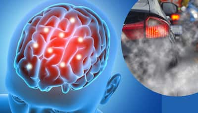 Traffic Pollution Linked To Alzheimer’s Brain Plaque Formation, Study Reveals