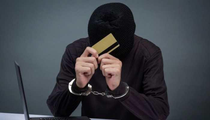 Online Scam: Woman's Attempt To Purchase Four Dozen Eggs Led To Rs 48,000 Loss In Bengaluru