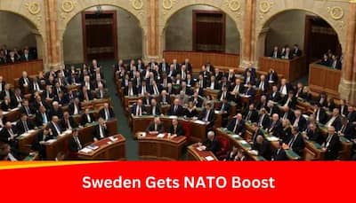 Sweden Set To Join NATO; Check European Country’s Bumpy Road To NATO Membership