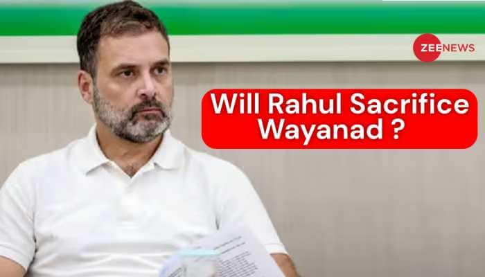 Lok Sabha Elections 2024: Left&#039;s Wayanad Bid Throws Another Challenge For Rahul Gandhi, Congress-Led INDI Alliance