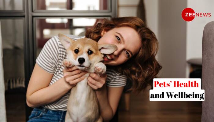 New To Pet Parenting? 5 Ways To Support Your Pet’s Health, Vet Shares
