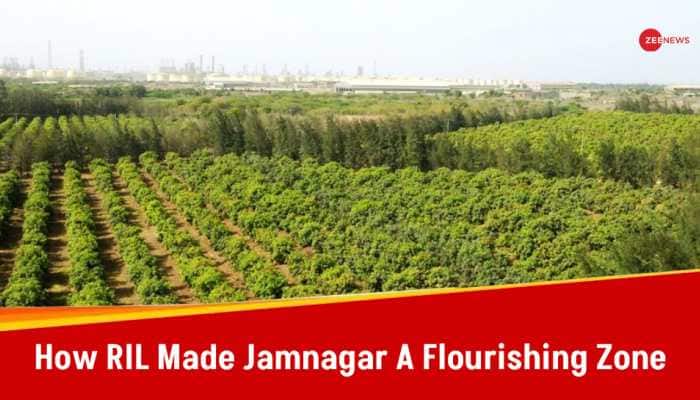From Barren Land To A Bountiful Landscape –How Ambani Family Transformed Jamnagar