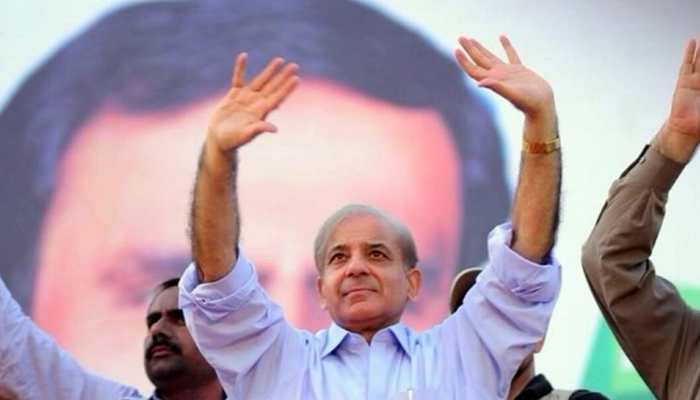 Pakistan PM Shehbaz Sharif Calls For 'Freedom Of Kashmiris, Palestinians' In Victory Speech
