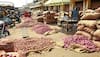 India Permits 64,400 Tonnes Of Onion Exports To UAE, Bangladesh 