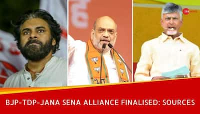 BJP-TDP-Jana Sena Alliance For 2024 Lok Sabha Polls Finalised: Sources