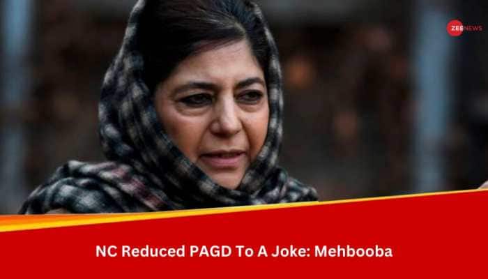 PAGD Formed To Oppose Abrogation Of Article 370 In J&amp;K Has Been Disbanded: Mehbooba Mufti