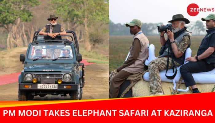 Video: PM Modi Takes Elephant, Jeep Safari In Assam&#039;s Kaziranga National Park