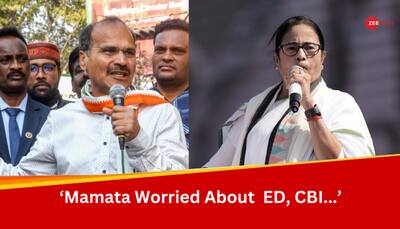 'Mamata Is Sending Message To Modi's Office..', Says Adhir Ranjan Chowdhury As TMC Goes Solo In 2024 Lok Sabha Polls