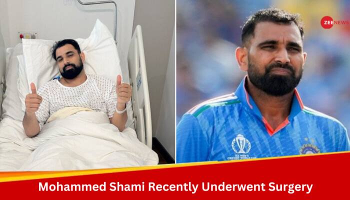 Mohammed Shami Not Available For T20 World Cup 2024 And IPL 2024, Confirms BCCI Secretary Jay Shah