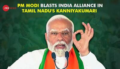 'DMK, Congress Have A History Of Scams': PM Modi's Big Attack On INDI Alliance In Tamil Nadu