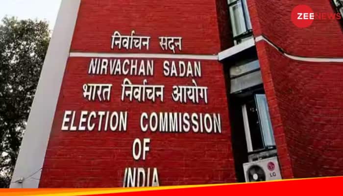 What Is Model Code Of Conduct: What All Is Banned After Election Date Announcement?