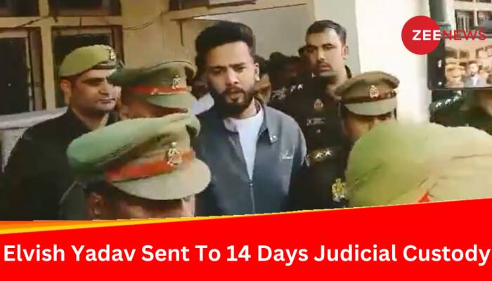 Elvish Yadav Sent To 14 Days Of Judicial Custody In Snake Venom Case