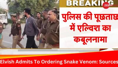 Elvish Yadav Confesses To Arranging Snake Venom As 'Recreational Drug' For Rave Parties: Sources