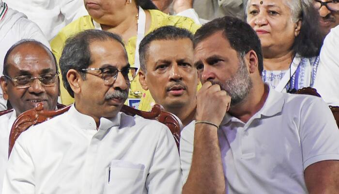 LS Polls 2024: List of MVA Candidates To Be Out In 2-3 Days, Says Maharashtra Congress Chief