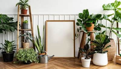 Home Decor: 5 Tips To Keep In Mind While Doing Up Your Home With Nature As Its Muse
