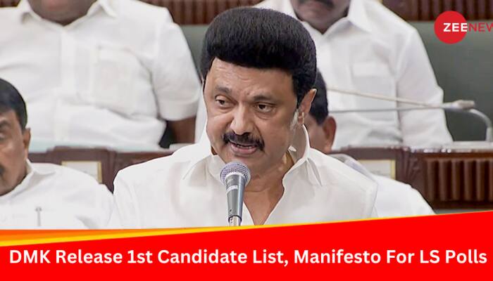 &#039;Will Repeal CAA, Ban NEET In Tamil Nadu...&#039;: DMK Releases 1st List Of Lok Sabha Candidates, Manifesto 