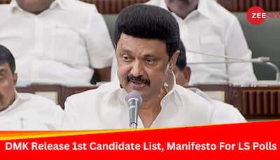 'Will Repeal CAA, Ban NEET In Tamil Nadu...': DMK Releases 1st List Of Lok Sabha Candidates, Manifesto 
