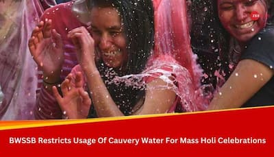 Bengaluru Water Board Prohibits Use Of Cauvery, Borewell Water For Rain Dance, Pool Party During Holi