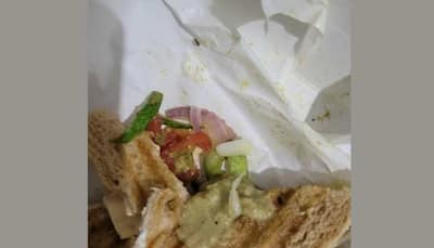 Zomato Customer Finds Cockroach In Sandwich Ordered From Zomato; Here’s How Netizens React