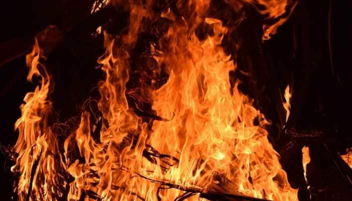 Holika Dahan 2024: Unleash Positivity And Vibrancy These 7 Tips From Astrologer