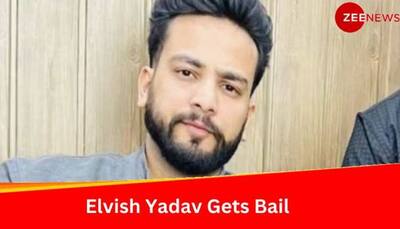 YouTuber Elvish Yadav Gets Bail In Snake Venom Case