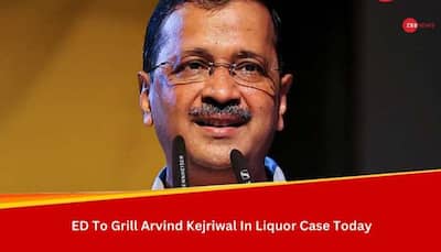 Special Diet, Medicines For Arvind Kejriwal: Know What Else Is Allowed For Delhi CM In ED Custody  