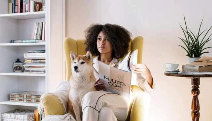 Viruses Are More Spread By Humans To Animals: Study