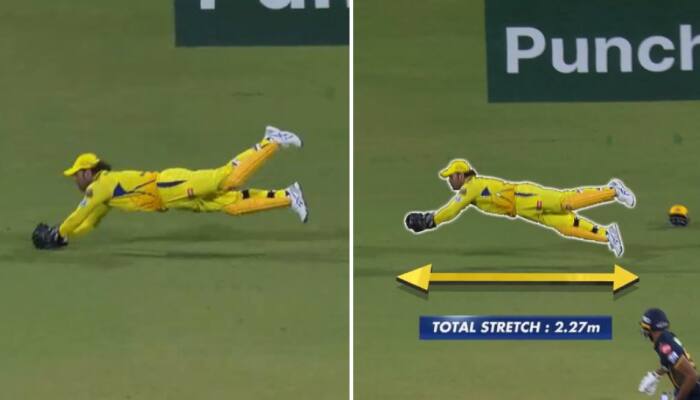 &#039;Tiger Zinda Hai,&#039; Suresh Raina&#039;s Reaction To MS Dhoni&#039;s Sublime Catch During CSK Vs GT Goes Viral - WATCH