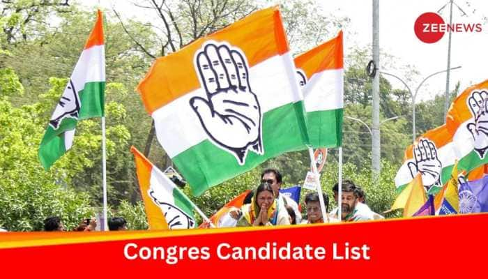 Lok Sabha Polls: Congress Announces Names Of 14 More Candidates; Fields Dolly Sharma From Ghaziabad