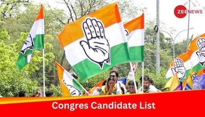Lok Sabha Polls: Congress Announces Names Of 14 More Candidates; Fields Dolly Sharma From Ghaziabad