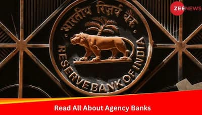 Agency Banks To Open This Sunday: Check What It Is, How They Operate & Full List