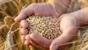 Rice Prices