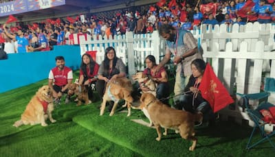 Ahead Of IPL 2024 Clash Vs KKR At Chinnaswamy, RCB Introduce 'Dog Out'; Know What It Is