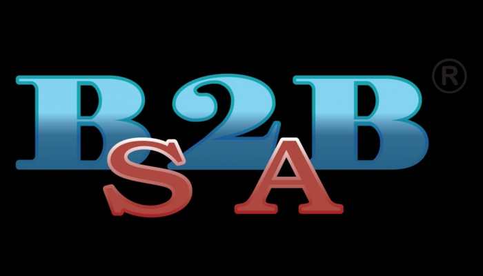 Harmonizing AI and Human Insight: The Future of B2B Marketing in 2024