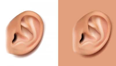 Researchers Create An Appropriate Lifelike Replica Of An Adult Human Ear