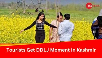Tourists Get DDLJ Moment In Kashmir Valley With Mustard Fields Creating Scenic View