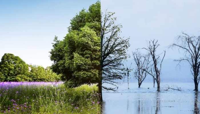How Climate Change Is Impacting Your Health - Check Expert's Warning