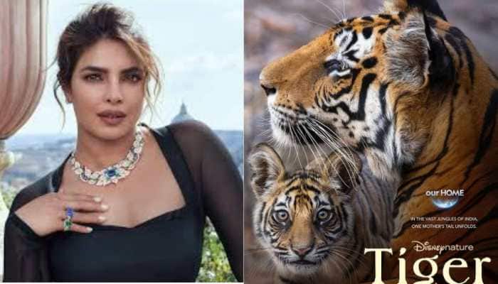 Priyanka Chopra Lends Her Voice To Disney&#039;s New Nature Film &#039;Tiger&#039;, Reveals Release Date, And Much More! 