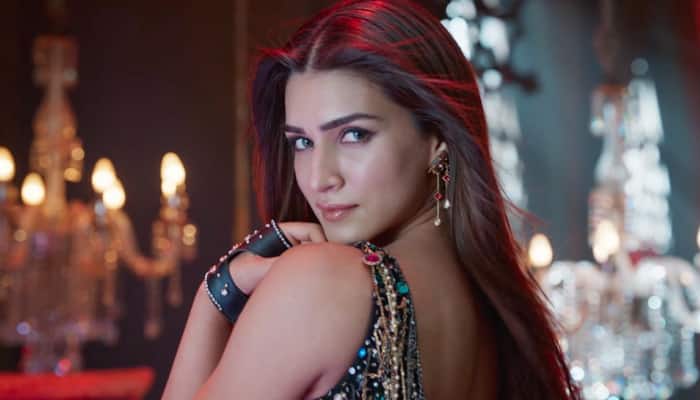 Kriti Sanon Shines In 2024; Hard Work Pays Off And How- Read On 