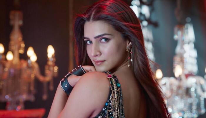 Kriti Sanon Shines In 2024; Hard Work Pays Off And How- Read On 