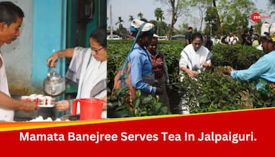 West Bengal CM Mamata Banerjee Plucks Tea Leaves, Serves Tea In Jalpaiguri - See Pics