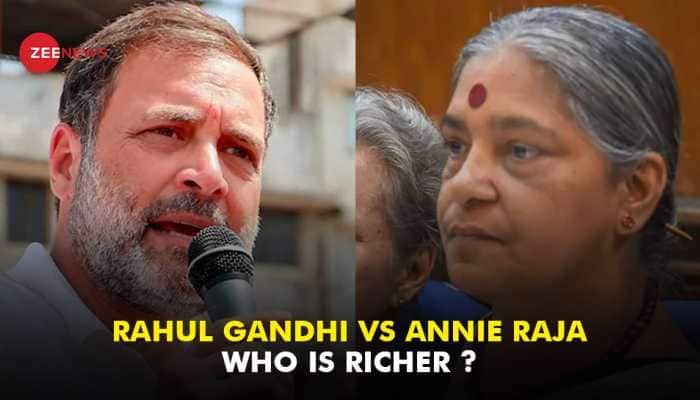 Congress Leader Rahul Gandhi Vs CPI&#039;s Annie Raja: Know Who Is Richer?