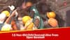 WATCH: How NDRF, SDRF Teams Rescue 1.5-Year-Old Child Who Fell Into Borewell In Karnataka