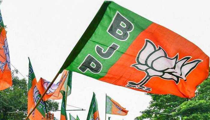 Congress, Stalin Have No Answer To Vaiko's Charge Over Katchatheevu Issue: BJP