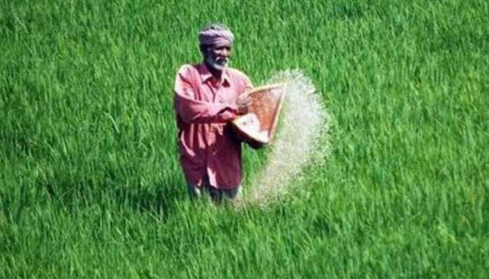 India To Stop Importing Urea By 2025 End: Mansukh Mandaviya