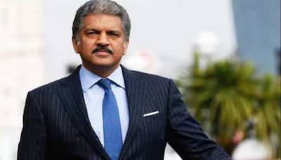 Anand Mahindra Offers Job Opportunity To Girl Who Used Alexa To Scare Off Monkey
