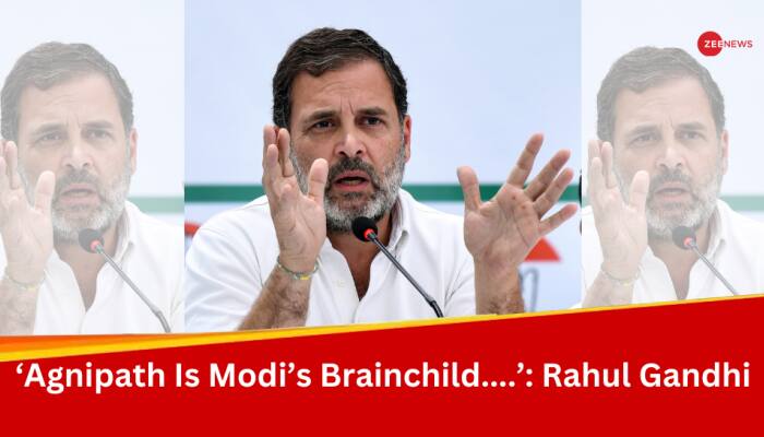 'Caste Census, Economic Survey Would Expose Truth': Rahul Gandhi 